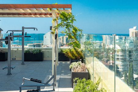 Внешний вид